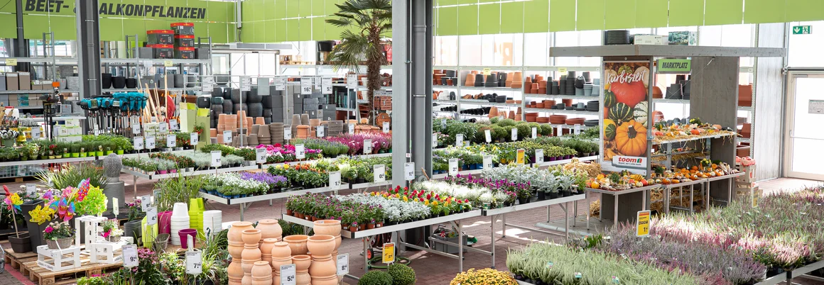 Gartencenter mit vielen verschiedenen Pflanzen